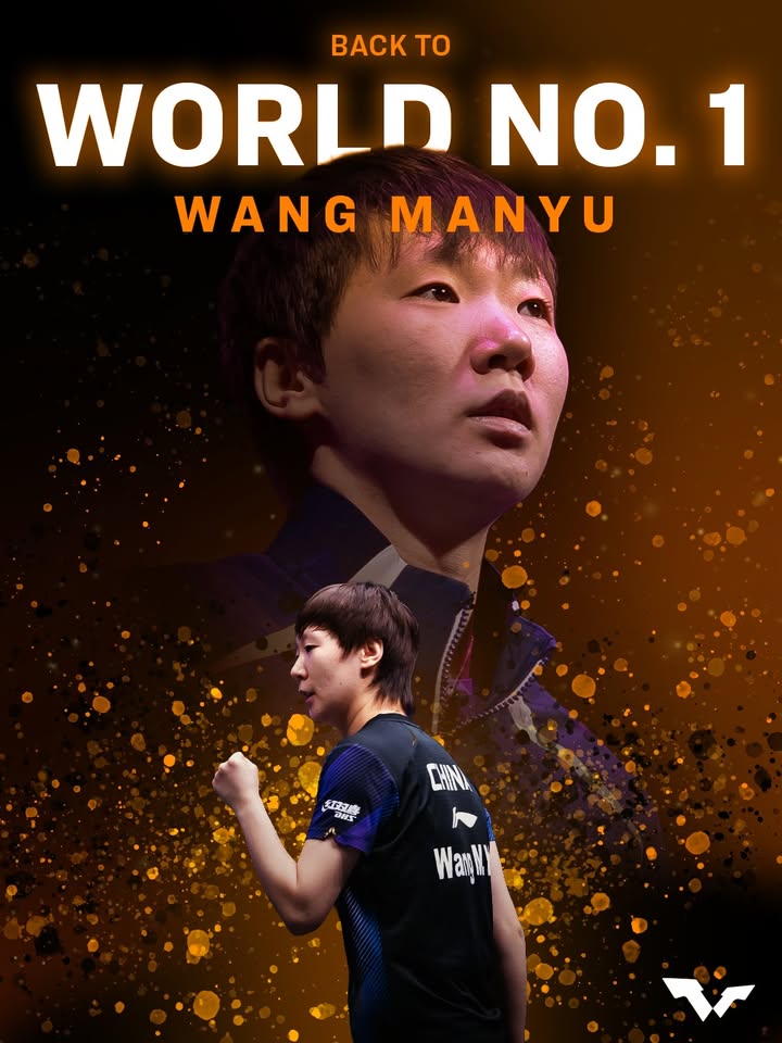wttwangmanyu